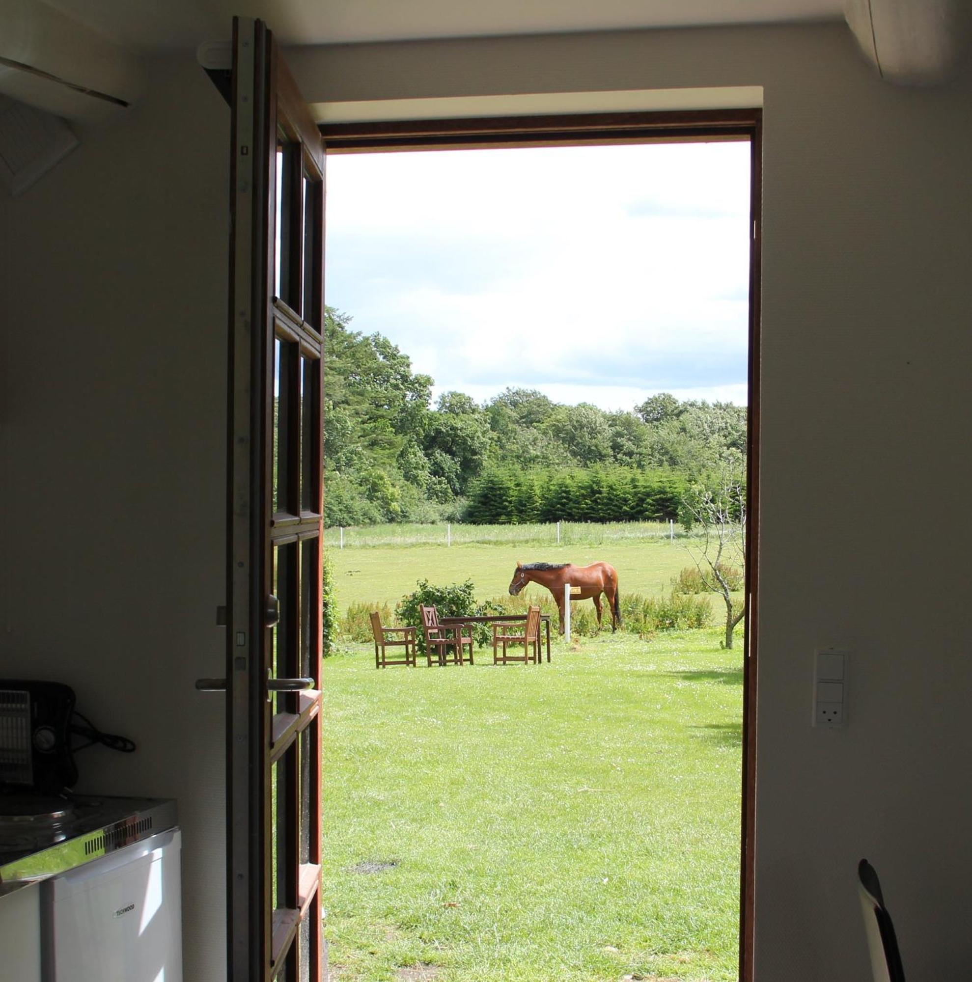 Munkebjerg Bed & Breakfast Borkop Room photo